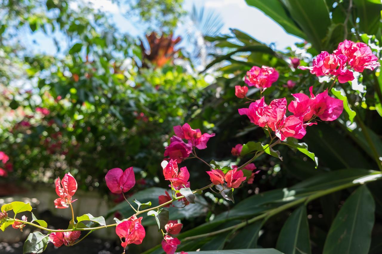 Hostal Casa Del Arte Robles ภายนอก รูปภาพ